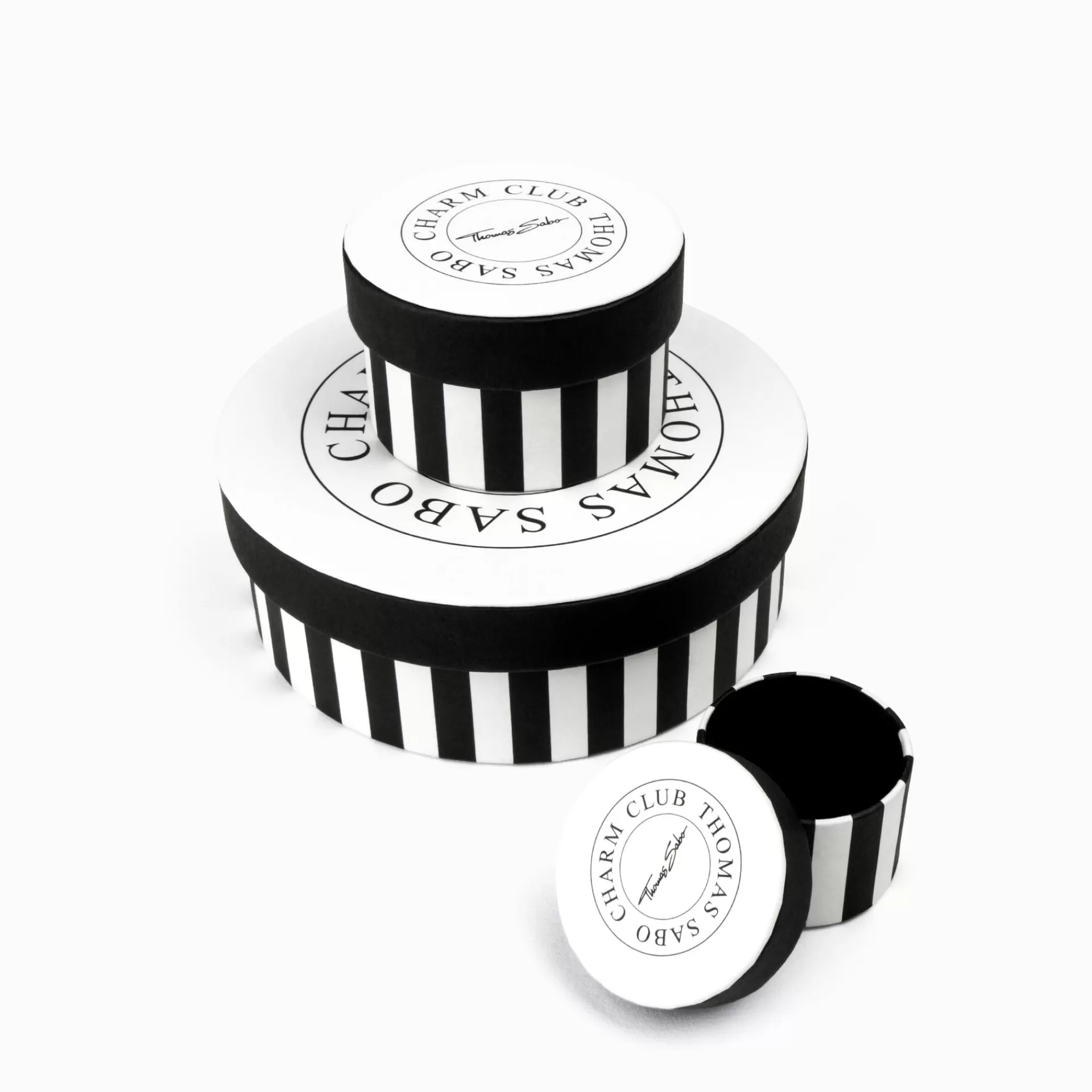 THOMAS SABO Charms | Charms<CHARM-H&AUML;NGSMYCKE FJ&AUML;RIL VITA STENAR silverfargad, vit